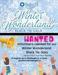 Volunteer for Noelle's Gift Winter Wonderland Gala
